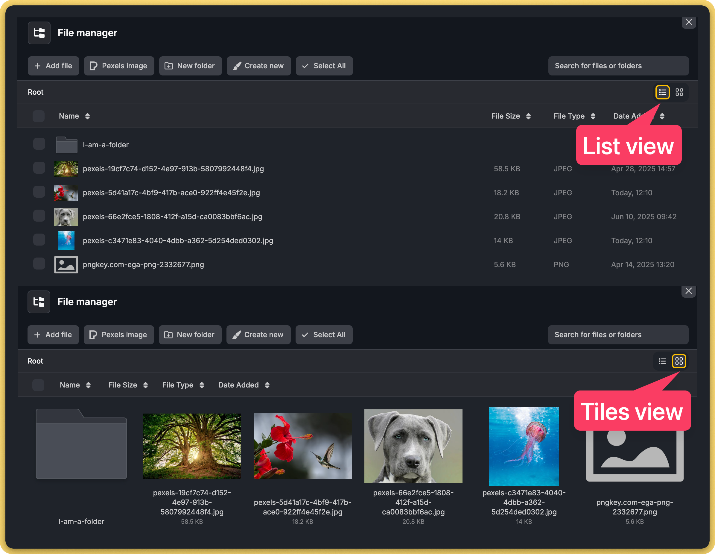 File view options File view options